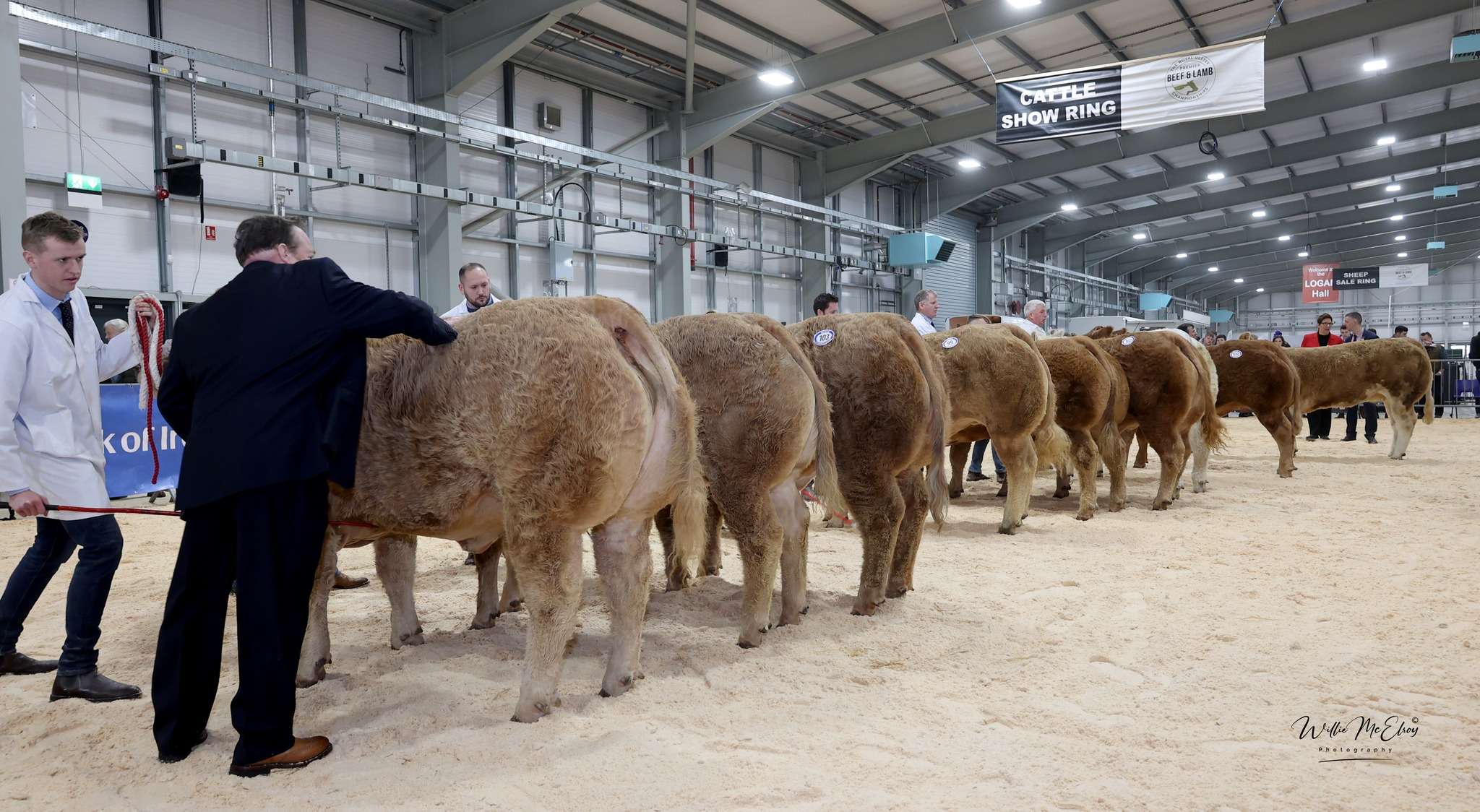 Royal Ulster Premier Beef & Lamb Championships