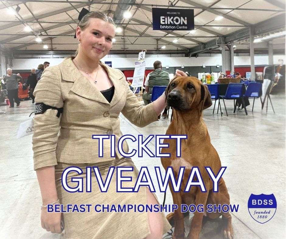 belfast-championsip-dog-show-facebook-post.jpg